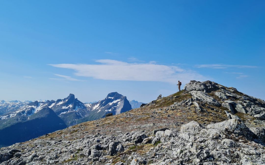 Summer 2022 Update: Collaboration and exploration projects in Norway